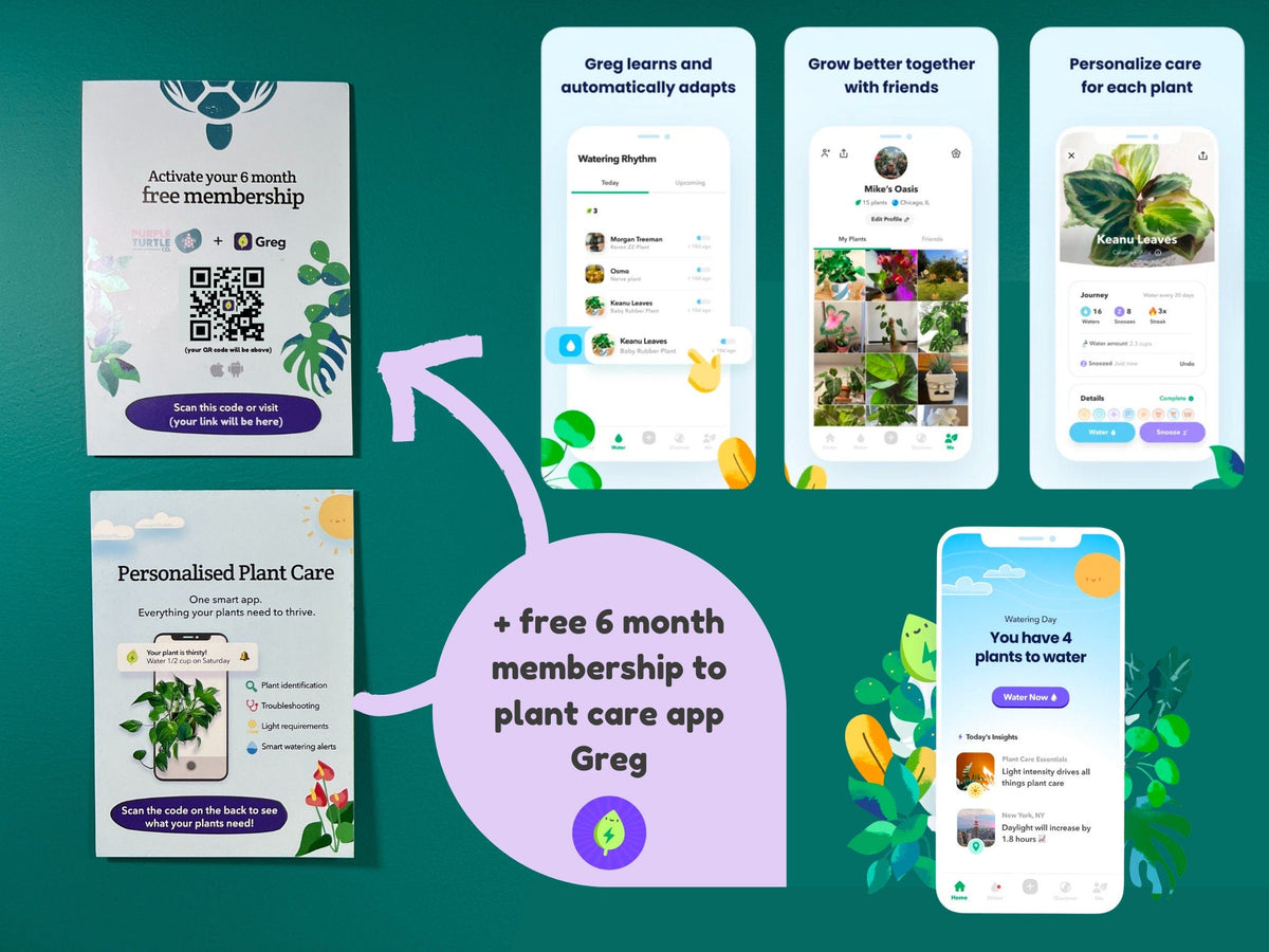 Plant Propagation Gift Set 