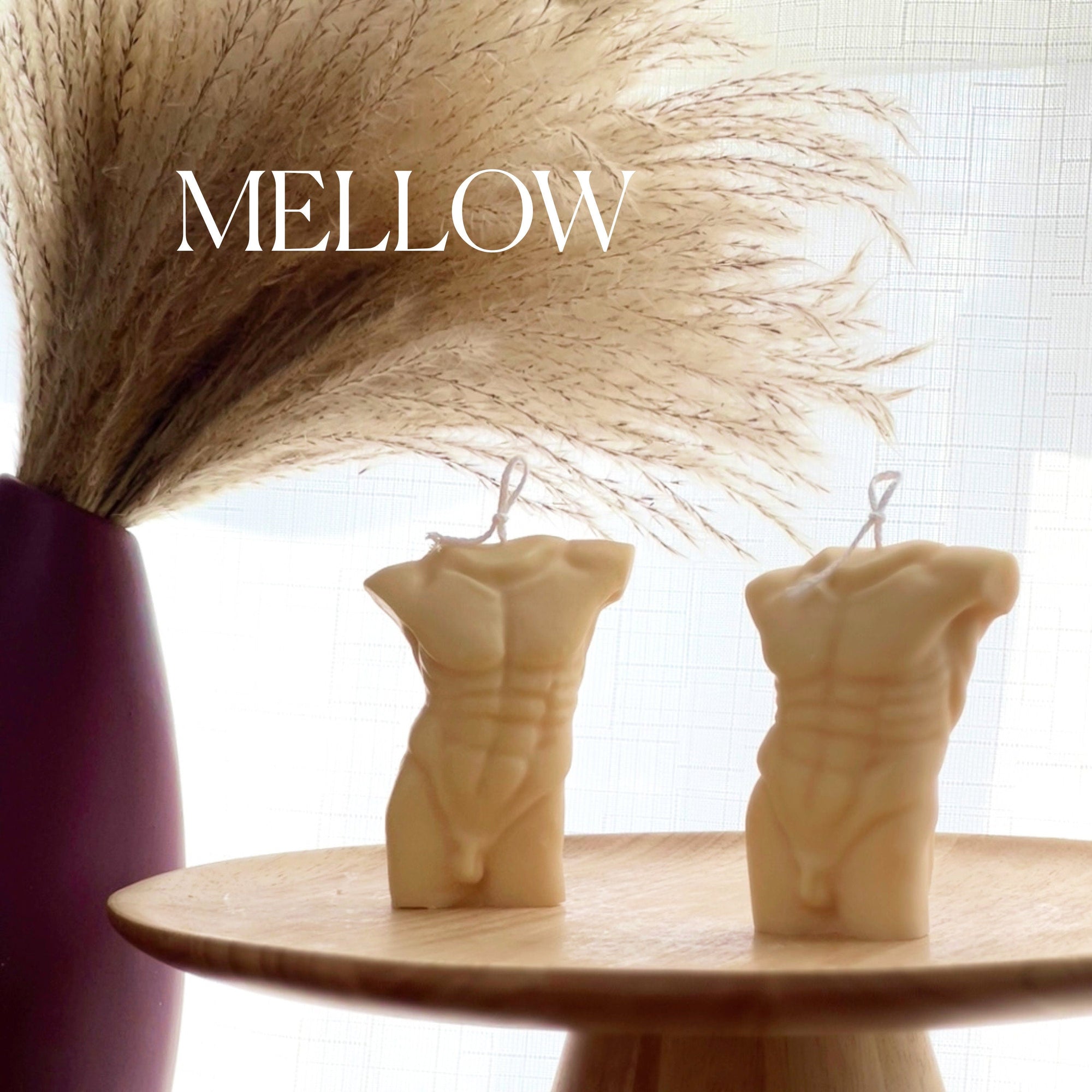 Handmade Male Torso Soy Wax Candle | Aesthetic Decor-3