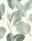 Green Eucalyptus Wallpaper