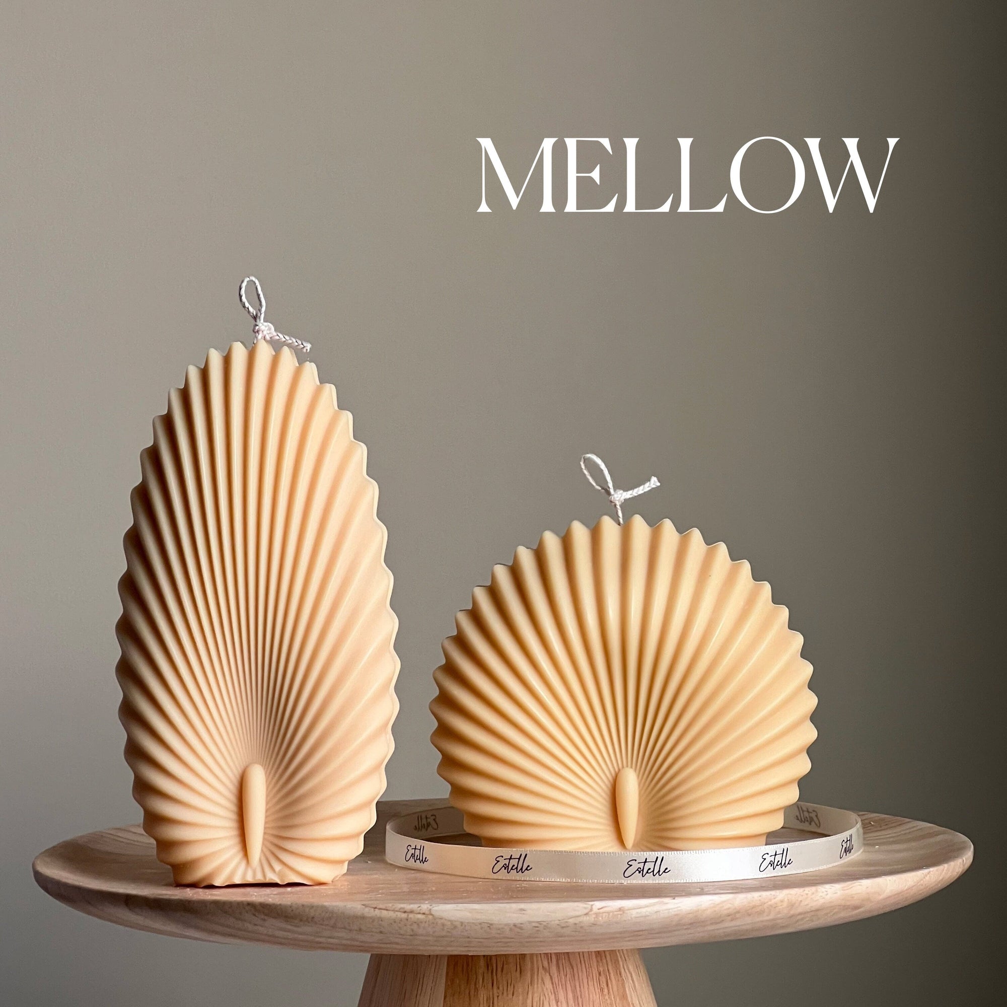 Sea Shell Candle Duo: Decorative Soy Wax Clam Shell Candles-3