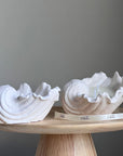 Conch Shell Soy Wax Candle | Jesmonite Vessel, Handmade-4