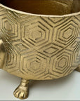 Tortoise Planter Pot | Brass Finish Indoor Succulent Holder