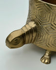 Tortoise Planter Pot | Brass Finish Indoor Succulent Holder