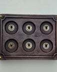 6 Gang 2 Way Antique Copper Toggle Light Switch | Metal Conduit