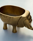 Elephant Indoor Planter | Brass Finish Animal Plant Pot