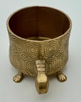 Tortoise Planter Pot | Brass Finish Indoor Succulent Holder