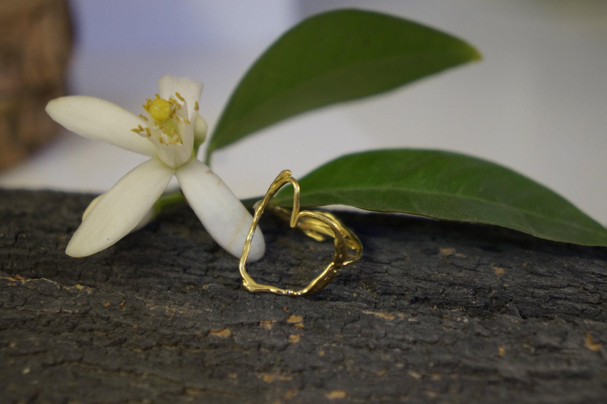Real Jasmine Twig Silver Ring with Heart Detail, Handmade Nature Jewelry, Organic Botanical Band, Gift for Beauty &amp; Appreciation, Sterling Silver 925