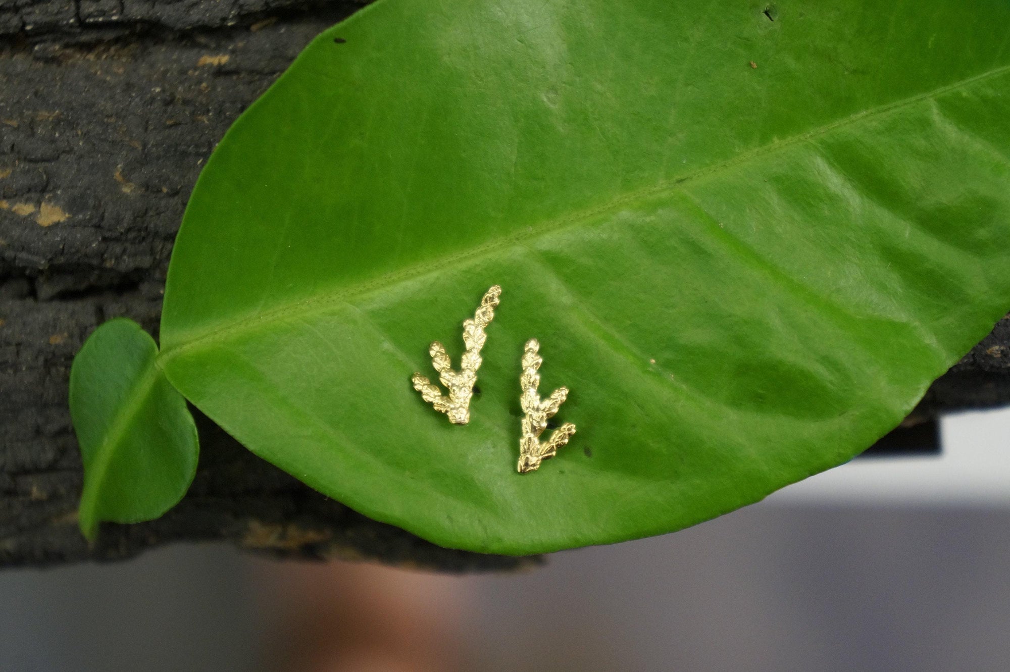 Silver Stud Earrings: Delicate Cypress Leaf - Gold Plated Finish-0