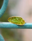 Real Mussel Shell Silver Ring with Green Murano Glass, Handmade Nature Jewelry, Organic Nature Band, Gift for Wisdom & Spirituality, Sterling Silver 925