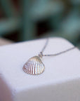 Minimalist Sea Shell Necklace, Handmade Beach Jewelry, Organic Sea Pendant, Gift for Growth & Renewal, Gold or Sterling Silver 925