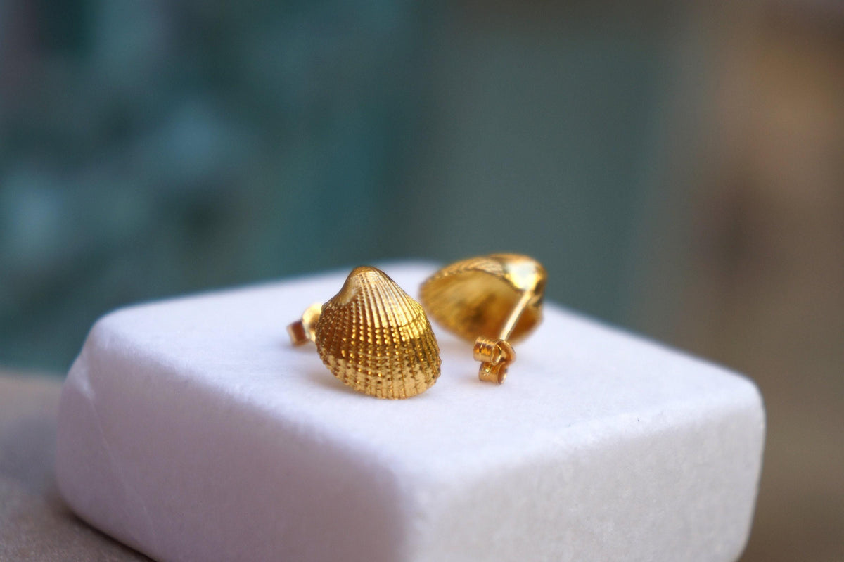 Sea shell earrings 14k Goldplated on sterling silver.