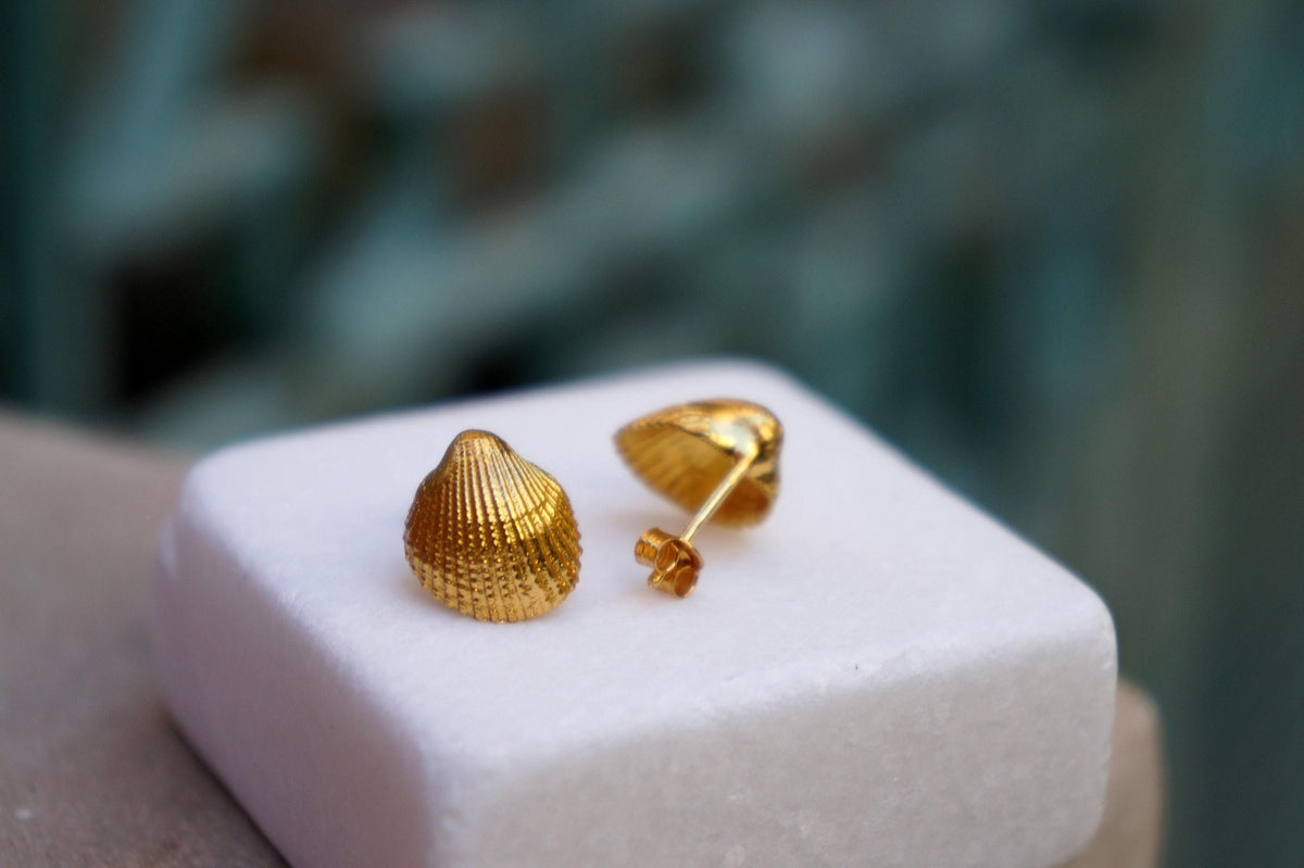 Sea shell earrings 14k Goldplated on sterling silver.
