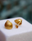 Sea shell earrings 14k Goldplated on sterling silver.