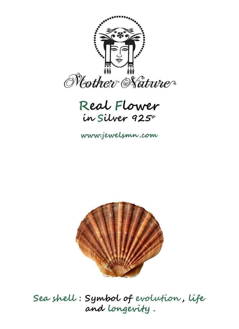 Sea shell earrings 14k Goldplated on sterling silver.