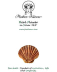 Sea shell earrings 14k Goldplated on sterling silver.