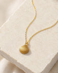 Minimalist Sea Shell Necklace, Handmade Beach Jewelry, Organic Sea Pendant, Gift for Growth & Renewal, Gold or Sterling Silver 925