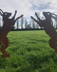 Pair Of Rusty Metal Boxing Hares Garden Decoration