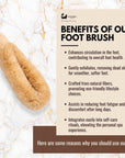 Japanese SPA Sisal Brush