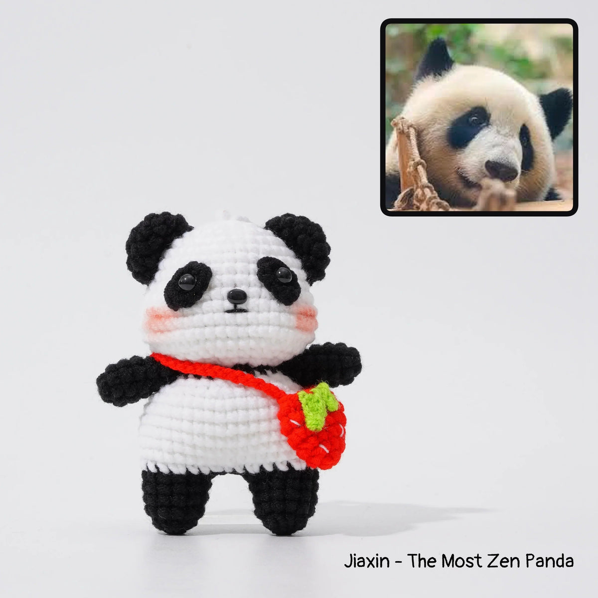 Giant Panda Family