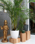 Stylish Wooden Cube Plant Stand Set of Three