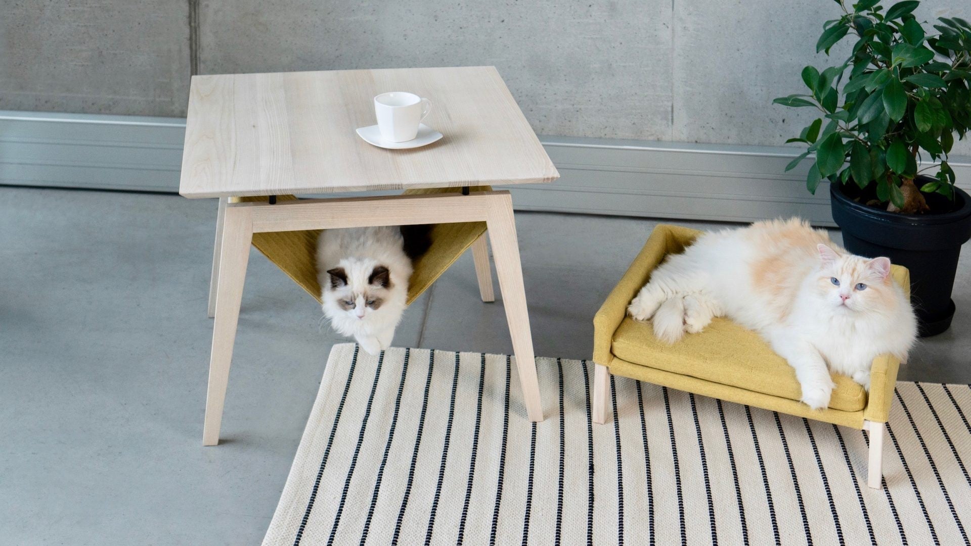 Honey Finish Table and Bed Set for Cats