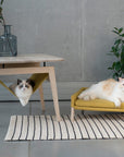 Honey Finish Table and Bed Set for Cats
