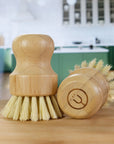 Dish Brush