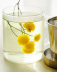 Chrysanthemum Flower Tea Stick Gift Set