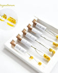 Chrysanthemum Flower Tea Stick Gift Set