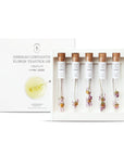 Siberian Chrysanthemum Flower Tea Stick Gift Set