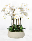 Artificial orchid centerpiece arrangement in beige planter - 28"