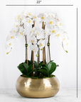 Large Orchid Centerpiece Arrangement in Gold Vase