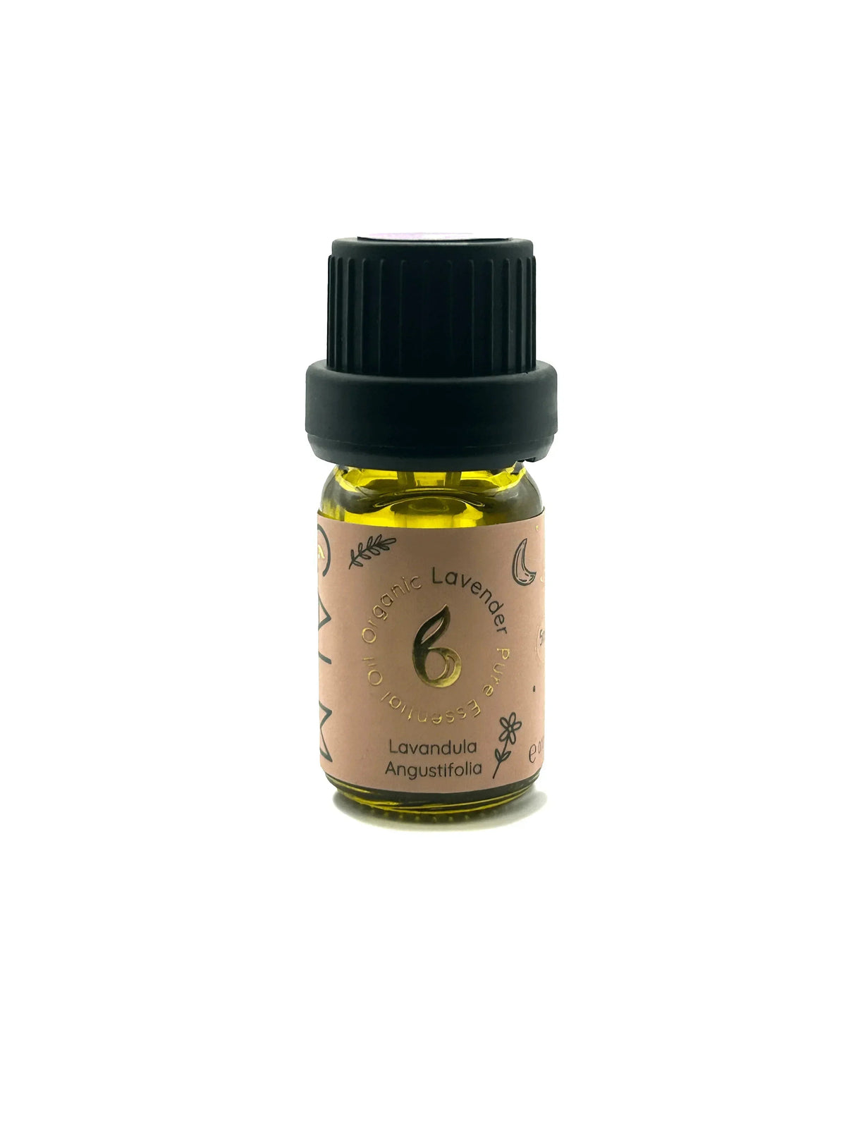 Full Set of 8 Organic Essential Oils – Stress, Energy &amp; Sleep Support + FREE Lavender Oil