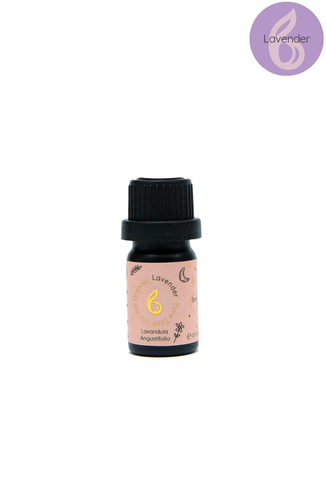 Geometric Glass Aroma Diffuser with Essential Oil Set