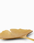Le Grande Ginko Leaf