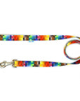 Pixels Leash for Stylish Dog Walks