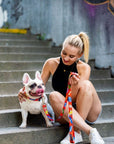 Red Graffiti Dog Leash for Daily Style and Walks
