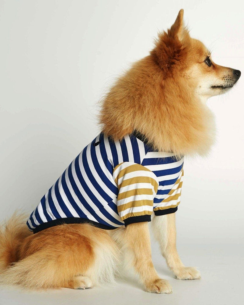 Striped T-Shirt - Portuguese Cotton