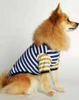 Striped T-Shirt - Portuguese Cotton
