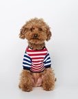 Striped T-Shirt - Portuguese Cotton