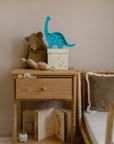 Mini Dinosaur Lamp for Kids Room