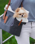Grey Dog Carrier and Travel Bag