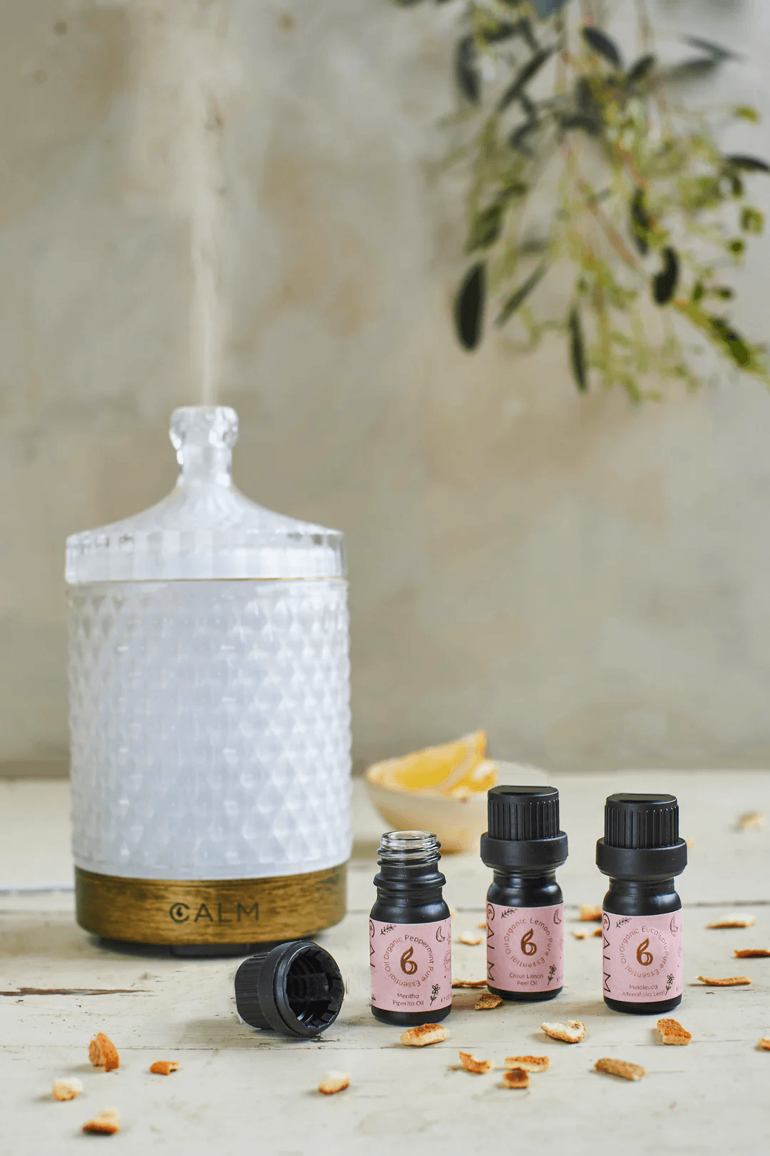 Geometric Glass Aroma Diffuser with Essential Oil Set