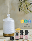 Geo Cut Glass Aroma Diffuser with Live Calm Essential Oil Set