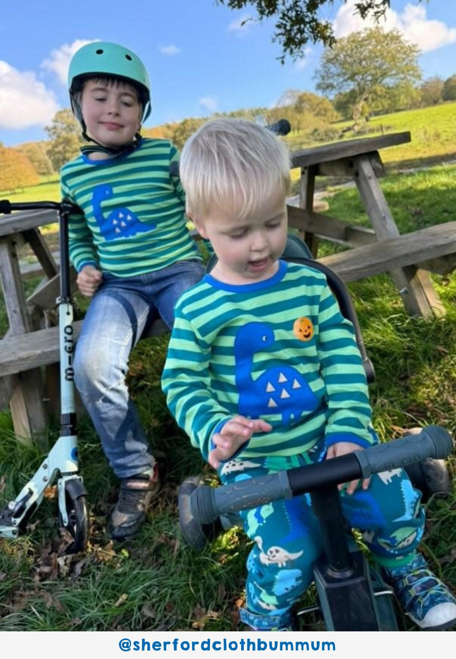 Premium Green Striped Long Sleeve Kids Dinosaur Shirt with Blue Dino Applique, Soft Organic Cotton, Eco-Friendly by Toby Tiger at brixbailey.com