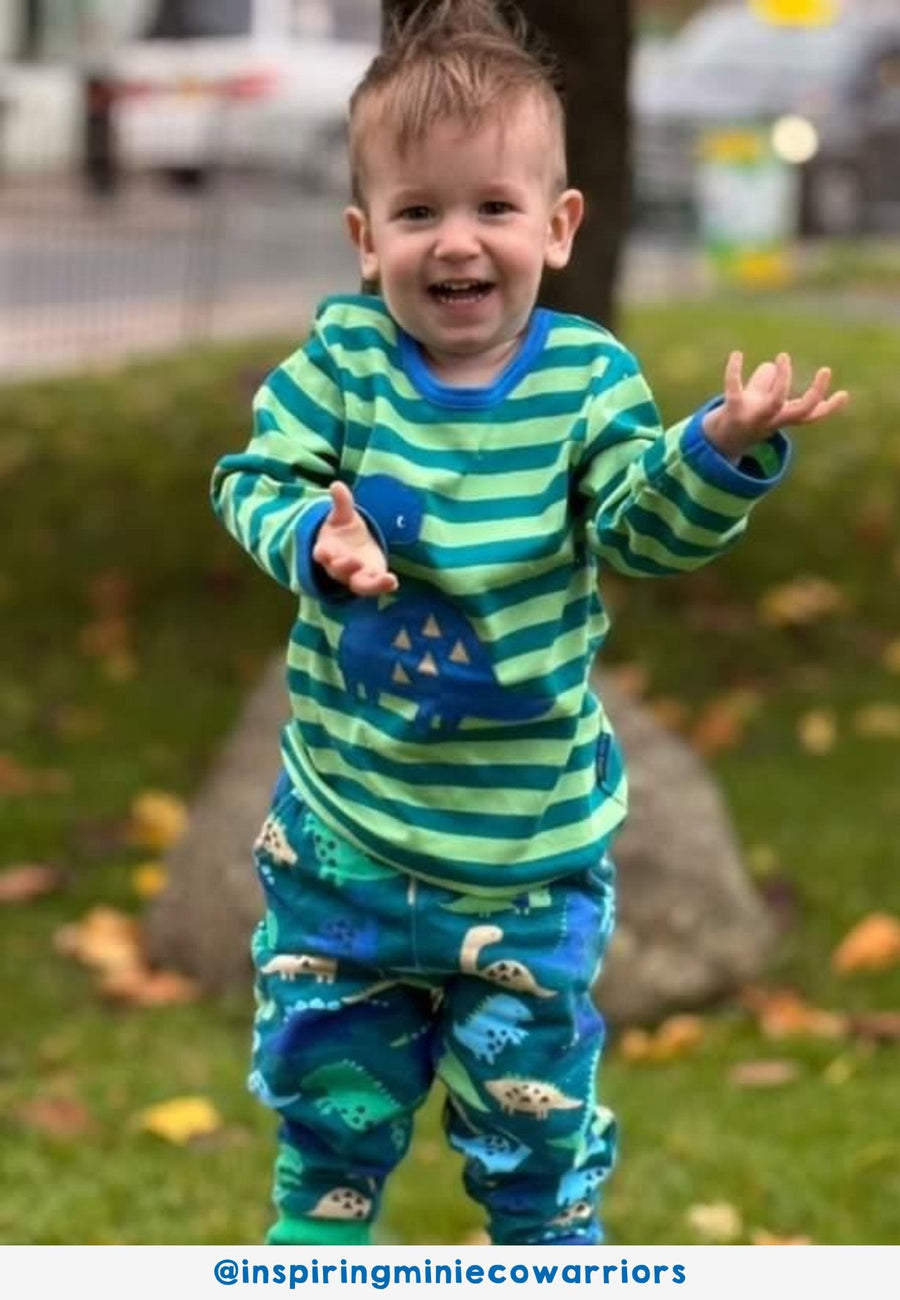 Premium Green Striped Long Sleeve Kids Dinosaur Shirt with Blue Dino Applique, Soft Organic Cotton, Eco-Friendly by Toby Tiger at brixbailey.com