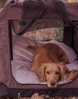 LUXURY ORTHOPAEDIC MEMORY FOAM DOG CRATE MATTRESS | PINK