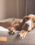 THE LINCOLN | LUXURY TWEED BOLSTER DOG BED