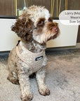 Luxe Adjustable Harness - Toffee Latte Petals