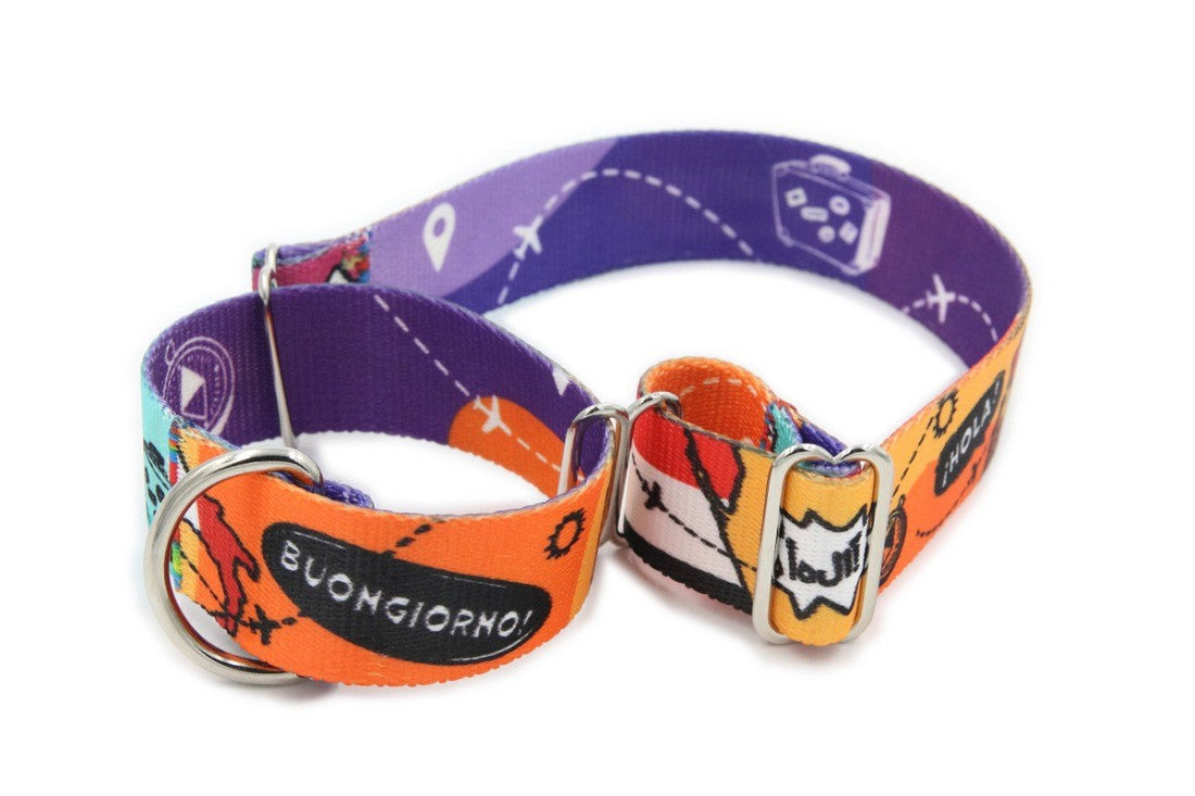 Martingale Travel Collar for Spirited Dogs